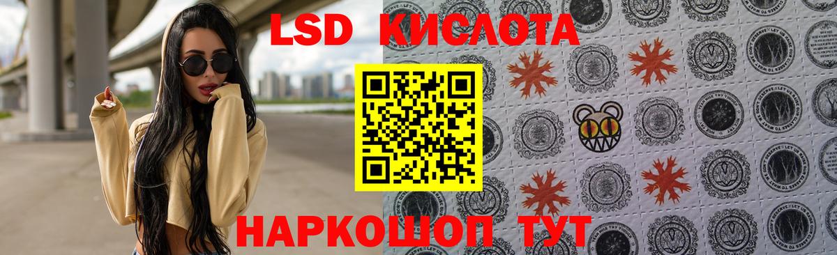 ЛСД экстази ecstasy  Вход с VPN  Курчалой  Лсд 25 экстази ecstasy 