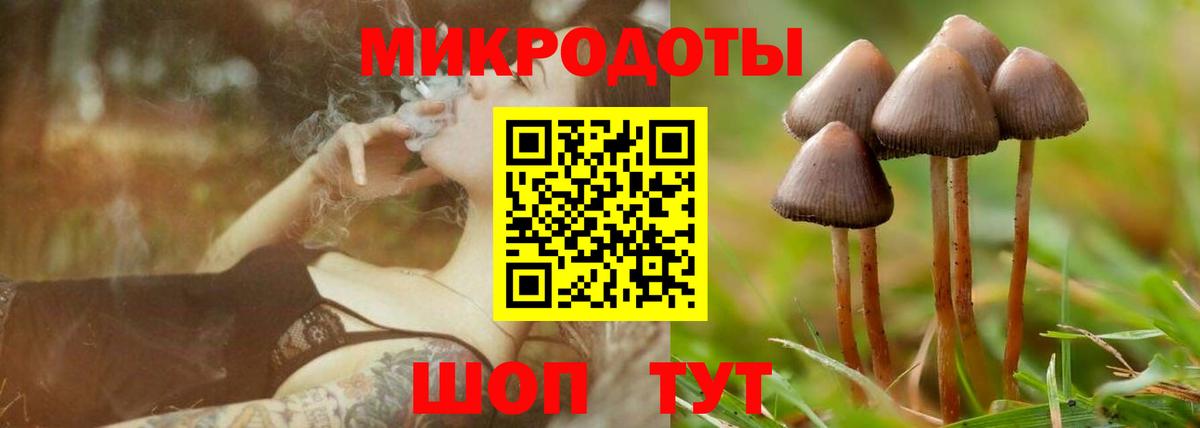 Псилоцибиновые грибы прущие грибы Курчалой